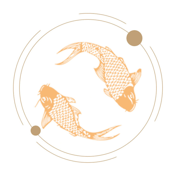Koi fish